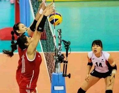 奧運排球比賽 奧運排球比賽
